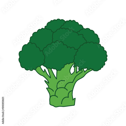 broccoli vegetable icon ,Fresh green broccoli vector illustration