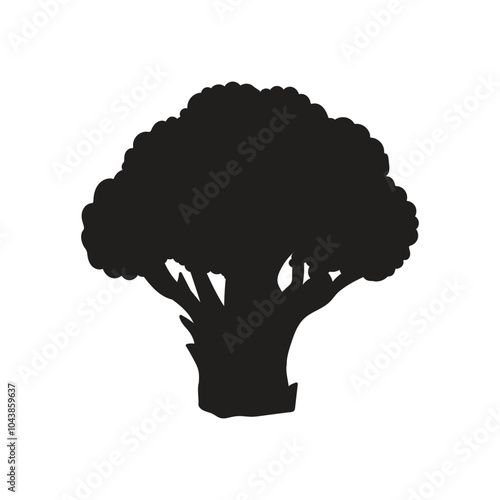 black broccoli vegetable icon ,Fresh  broccoli vector illustration