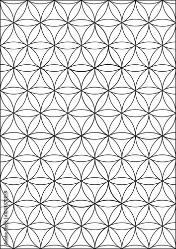 Coloring book page. Colorless geometrical pattern with abstract repeating elements. photo