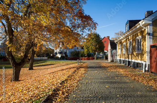 Fototapeta Naklejka Na Ścianę i Meble -  Autumn in Sweden, Old town in Västerås, Yellow fallen leaves on the paving stones of the street near a one-story house on a sunny day