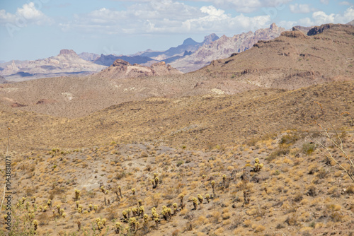 Aussichtspunkt am Sitgreaves Pass bei Oatman an der Route 66 in Arizona