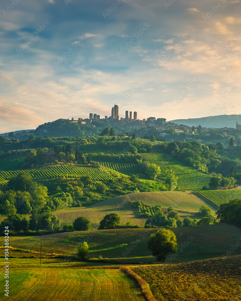 Obraz premium Panoramic view of chianti and vernaccia vineyards. San Gimignano. Tuscany, Italy