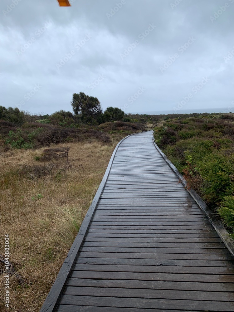 Fototapeta premium path to the beach