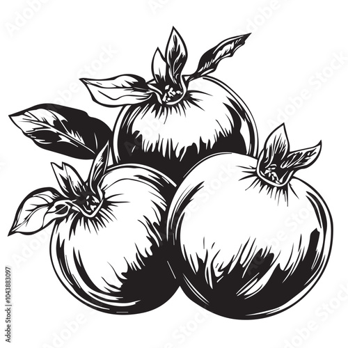 PomegranatesIn cartoon, hand-drawn flat style. image for social media, websites and UI. Isolated 2D vector design in logo, icon, sketch style, simple line vector, single color. AI Generative Art.