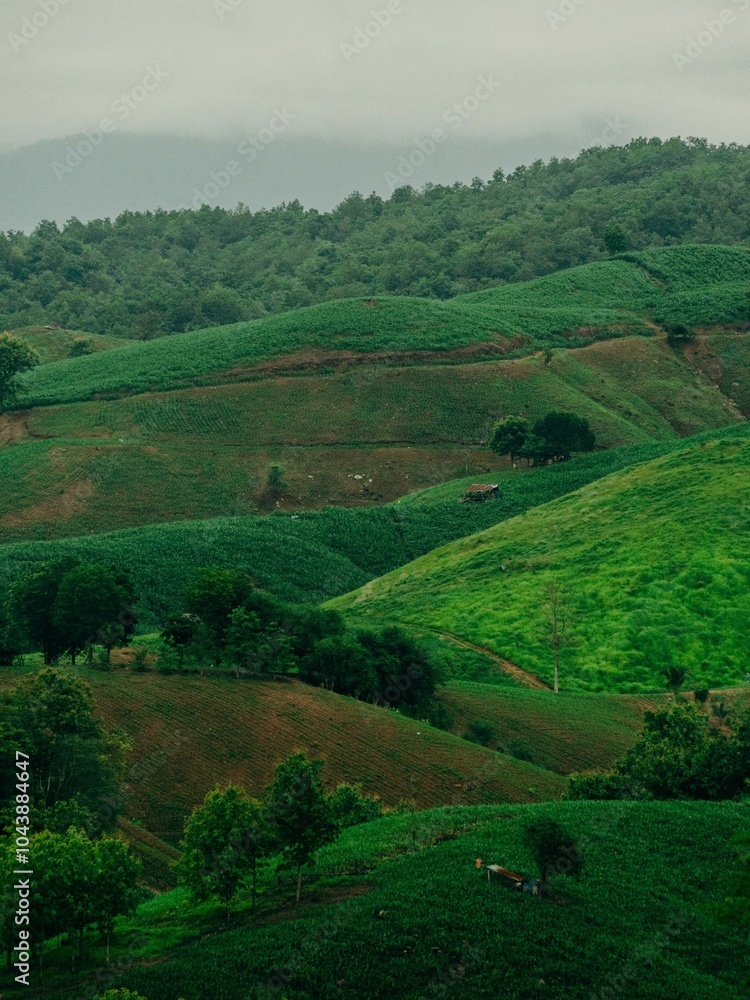 Obraz premium These are landscape photos, mountain views, boat photos, city center photos, and sea photos and sky