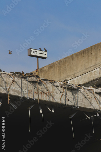 Birds sitting on top of an ‘exit’ sign on the roof of a destroyed parking garage.. photo