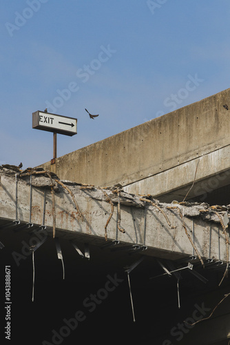 Bird landing on top of an ‘exit’ sign on the roof of a destroyed parking garage.. photo