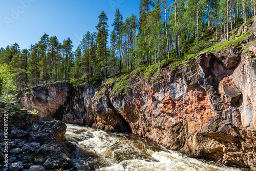 rocks in the forest photo