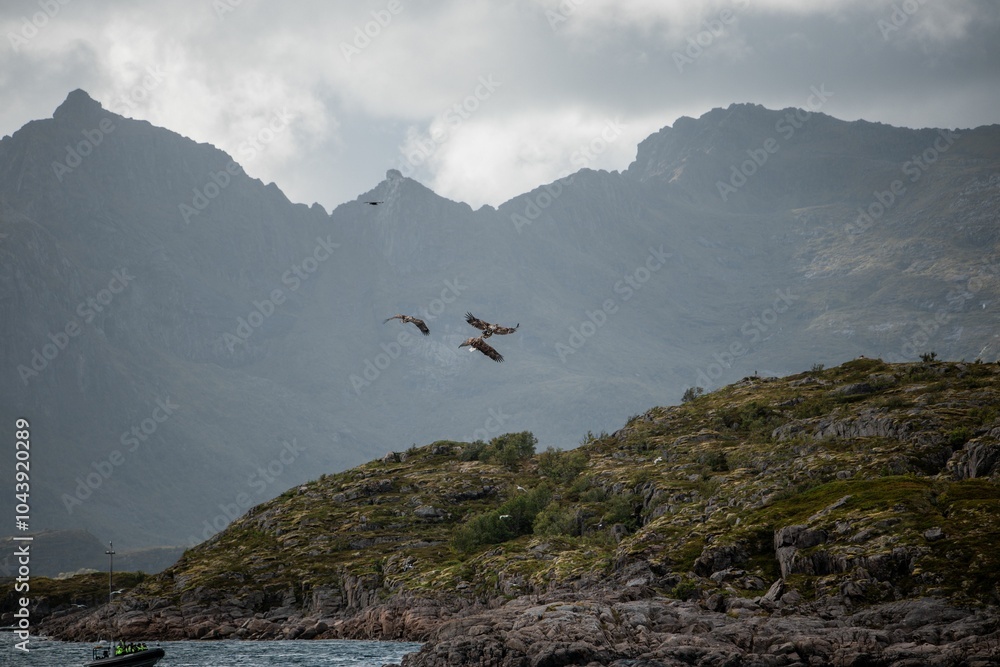 Fototapeta premium Birds soaring over rugged mountains.
