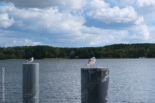 Ausblick über den Scharmützelsee bei Wendisch Rietz photo