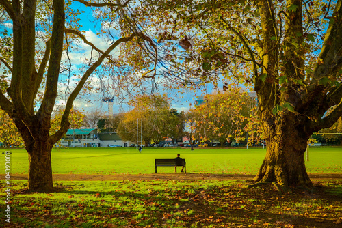 bench in autumn park