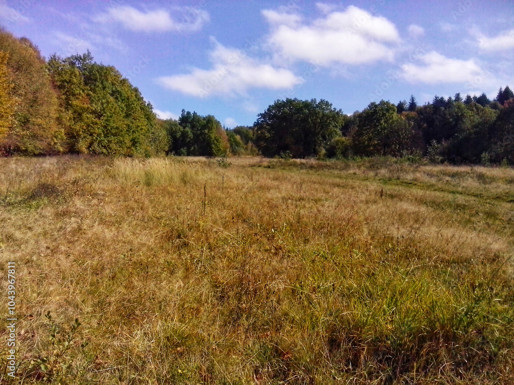 A picturesque mountain meadow in autumn A picturesque mountain meadow in autumn
