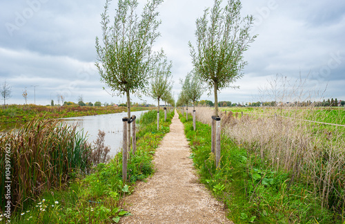 Newly constructed walking path with willow trees on either side along a canal in Waddinxveen, Netherlands photo