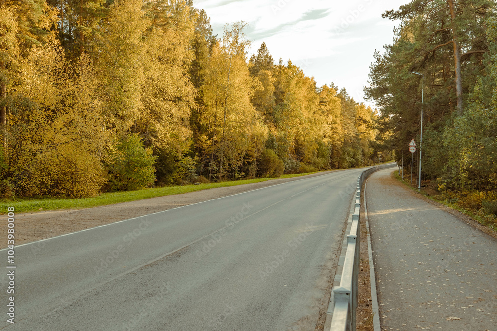 Empty asphalt road passing through autumn forest Empty asphalt road passing through autumn forest
