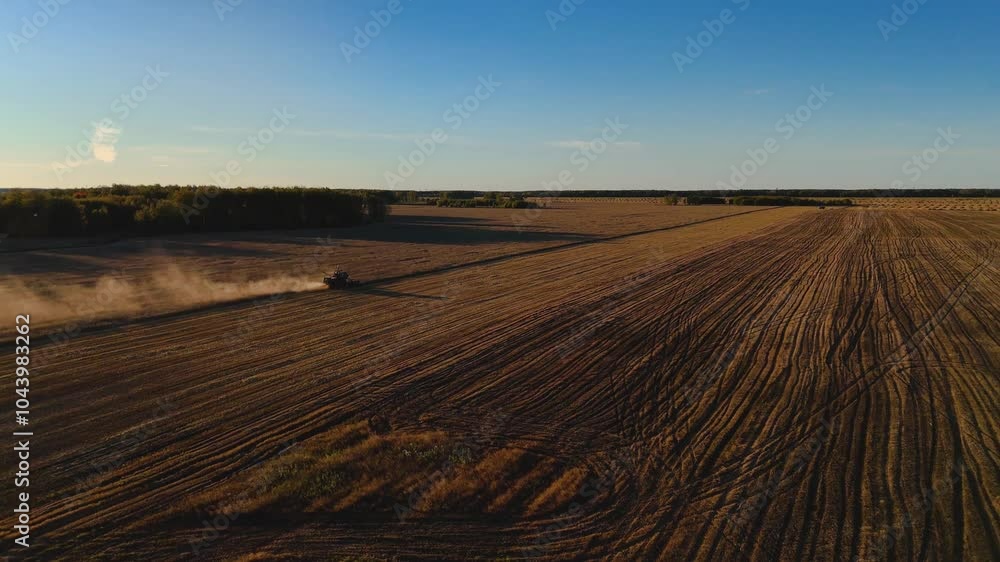 a combine harvester harvesting wheat at sunset a combine harvester harvesting wheat at sunset
