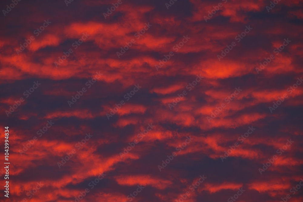 Cloudy sunset with gentle colorful clouds. Cloudy sunset with gentle colorful clouds.