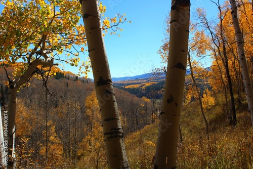 autumn in a mountain pass 