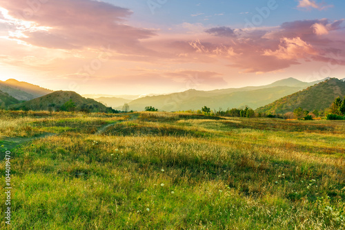 Fototapeta Naklejka Na Ścianę i Meble -  scenic landscape of green and golden sunset field in a valley between mountains with beautiful cloudy evening sky on background