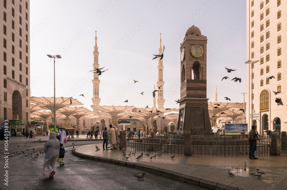 custom made wallpaper toronto digitalPeople walking in plaza near Al Masjid an Nabawi beside pigeons