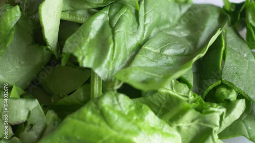 chopping  spinach on the cutting wooden board, close up shot