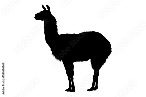Black silhouette of standing animal llama, side view. Vector illustration