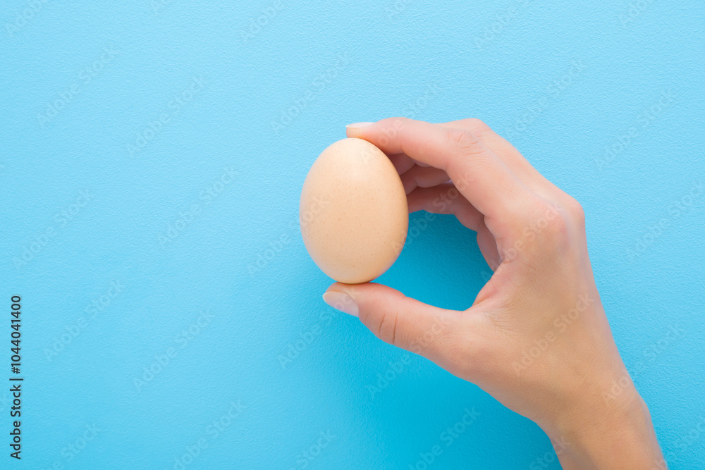 Young adult woman hand fingers holding and showing brown egg on light blue background. Pastel color. Closeup. Front view. Young adult woman hand fingers holding and showing brown egg on light blue background. Pastel color. Closeup. Front view.