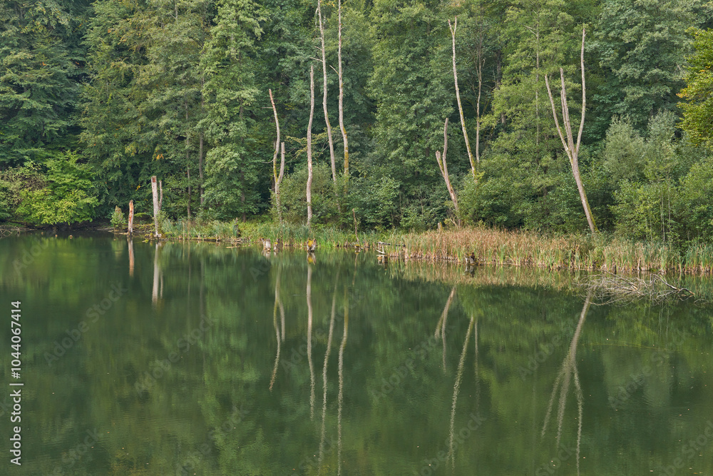 Obraz premium Autumn natural background. Picturesque mountain lake with reflection of trees in water.