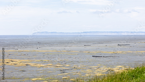 Anchorage Alaska Beach, Ocean, Landsacpe