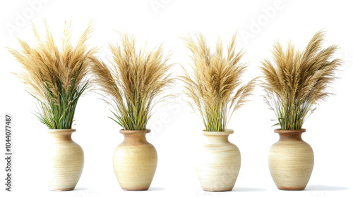 Pampas Grasses in Vases on a Clear Background Generative AI