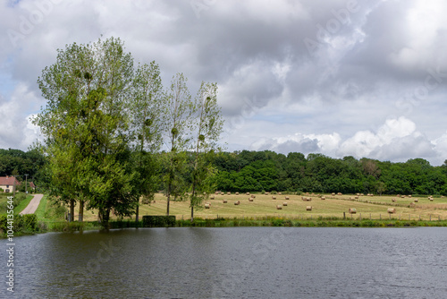 Paysage de printemps