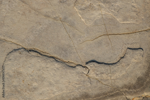 Abstract shapes, patterns and textures of limestone surface layers.Layers of layers that form an abstract ornament. Dark white limestone. For graphic design or banner background.copy space