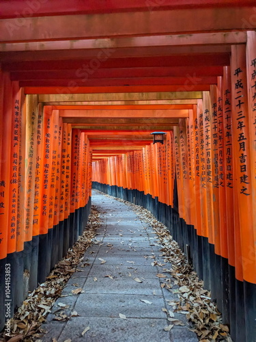 Fushimi, Japan - 2023.12.17: Inside of the tunnel of Senbon Torii in Fushimi Inari-taisha, with rows of red wooden structures and inscriptions of donation details along the footpath in the morning