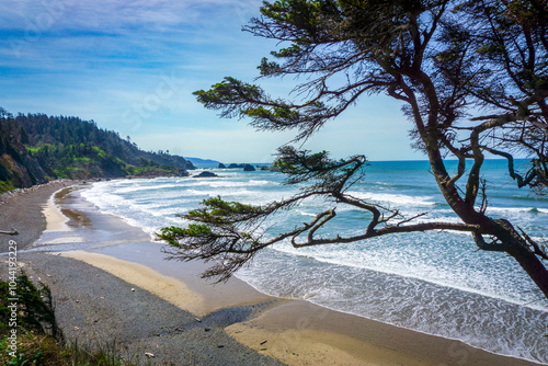 A scenic coastal view features a sandy beach and rocky shoreline, with waves gently lapping against the shore. A wind-swept tree frames the view from Clatsop Trail, Oregon.