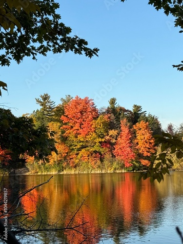 Autumn season