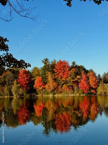 autumn trees reflected in water