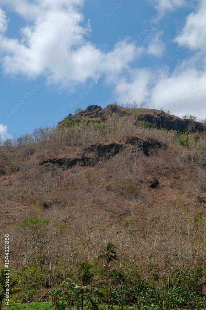 View of dry hills due to the dry season against a blue sky background. Deciduous trees look dry.Natural natural background.Copy space for graphic design View of dry hills due to the dry season against a blue sky background. Deciduous trees look dry.Natural natural background.Copy space for graphic design