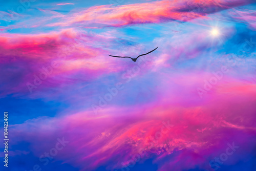 Bird Sunset Ethereal Divine Inspirational Hope Faith Freedom Flying Soaring Silhouette photo