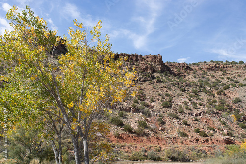 View of the scenic canyon of the Río Chama, or Chama River, below Abiquiu Dam in northern New Mexico, USA photo