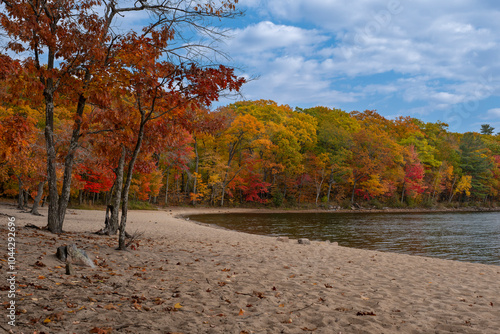 Colorful fall trees with yellow, red, and orange leaves along the shore of a lake, sunny day. Killbear Provincial Park, Ontario, Canada. photo