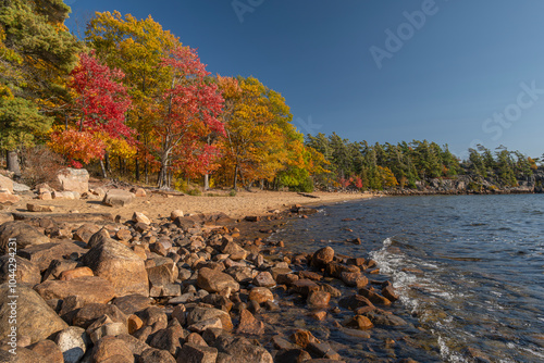 Colorful fall trees with yellow, red, and orange leaves along the shore of a lake, sunny day. Killbear Provincial Park, Ontario, Canada. photo