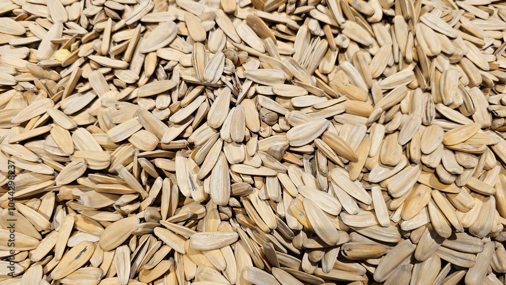 sunflower seeds, melon seeds, Chinese edible seeds, snack, top view photo, 