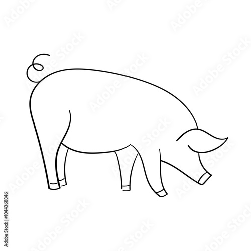 pig