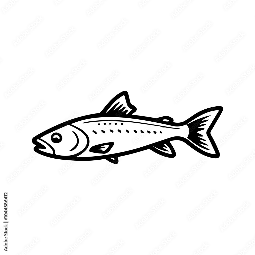 Salmon Salmon