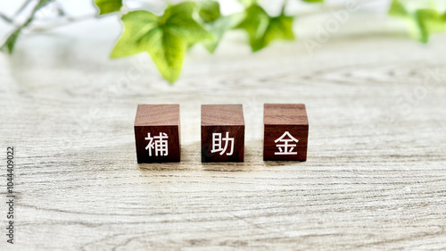 Quadro su tela 木の立方体に補助金の文字_白板背景