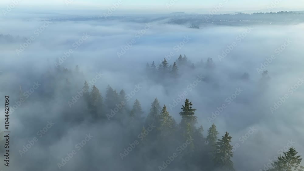 Early morning mist drifts through the Willamette Valley in West Linn, Oregon. This scenic area lies just south of the Pacific Northwest city of Portland.