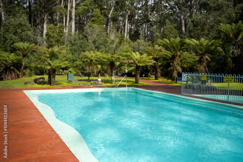 Wallpaper Mural outdoor swimming pool in forest in a national park in australia Torontodigital.ca