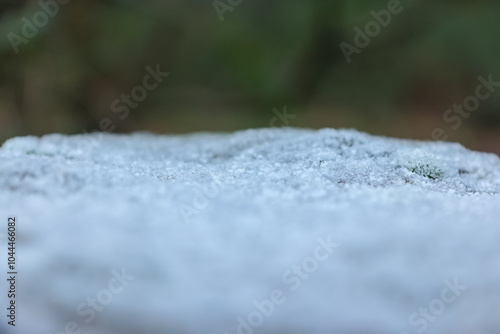 Close up of a granite wall in Bradgate Park, UK. during the Winter.