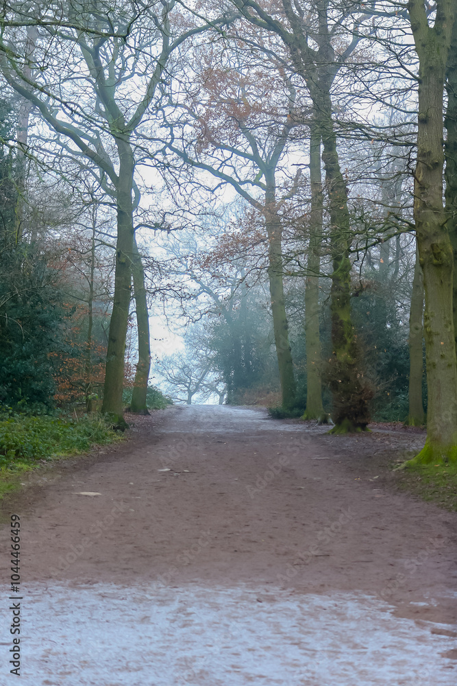 Fototapeta premium Frosty morning in the middle of winter, Bradgate Park, UK.