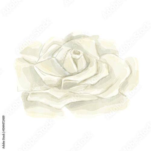 Watercolor Open White Rose Bud Flower. Winter Holiday Attribute. Digital Illustration for Printing and Web.