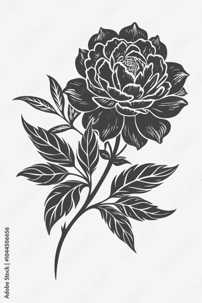 Peony Branch with Flowers Silhouette Vector Illustration in Elegant Minimalist Style for Botanical Designs Peony Branch with Flowers Silhouette Vector Illustration in Elegant Minimalist Style for Botanical Designs